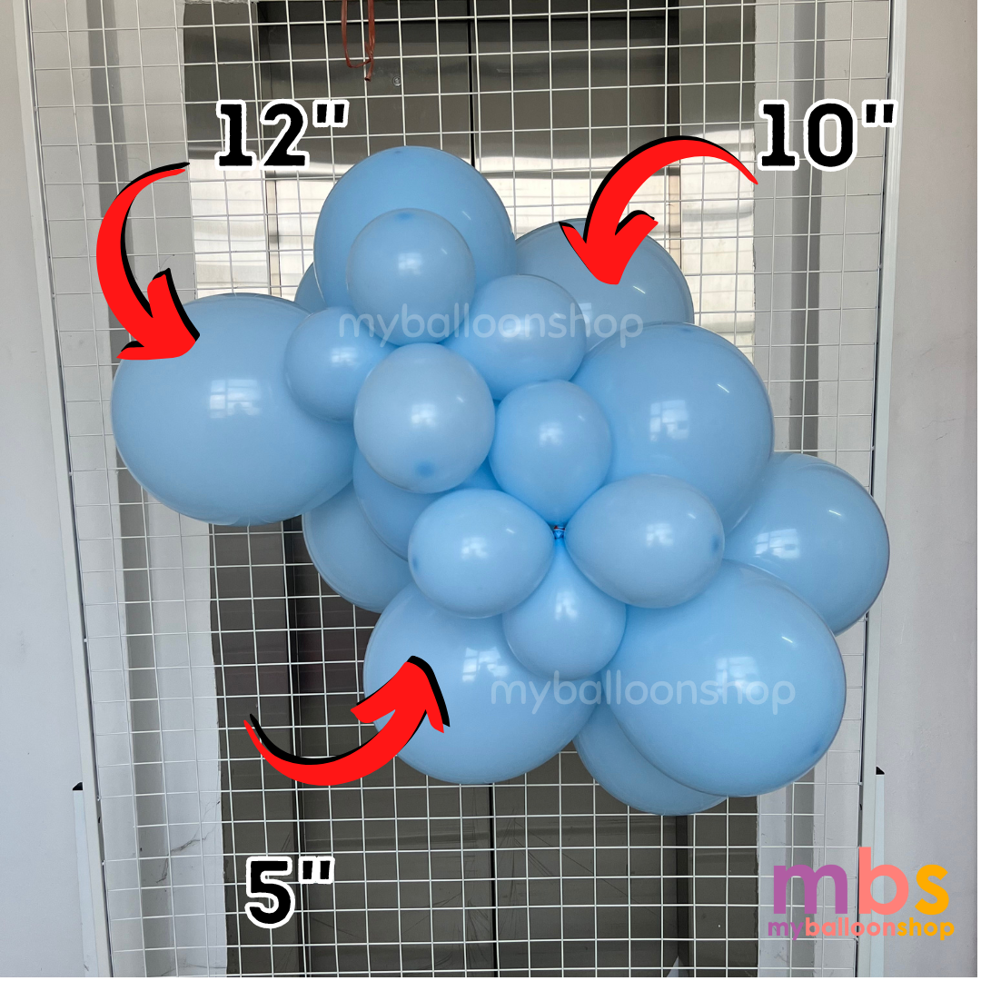 [100 pcs] - 12 inch SKYTEX Balloons