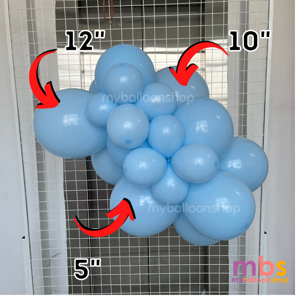 【50/100 PCS】- 10 inch SKYTEX