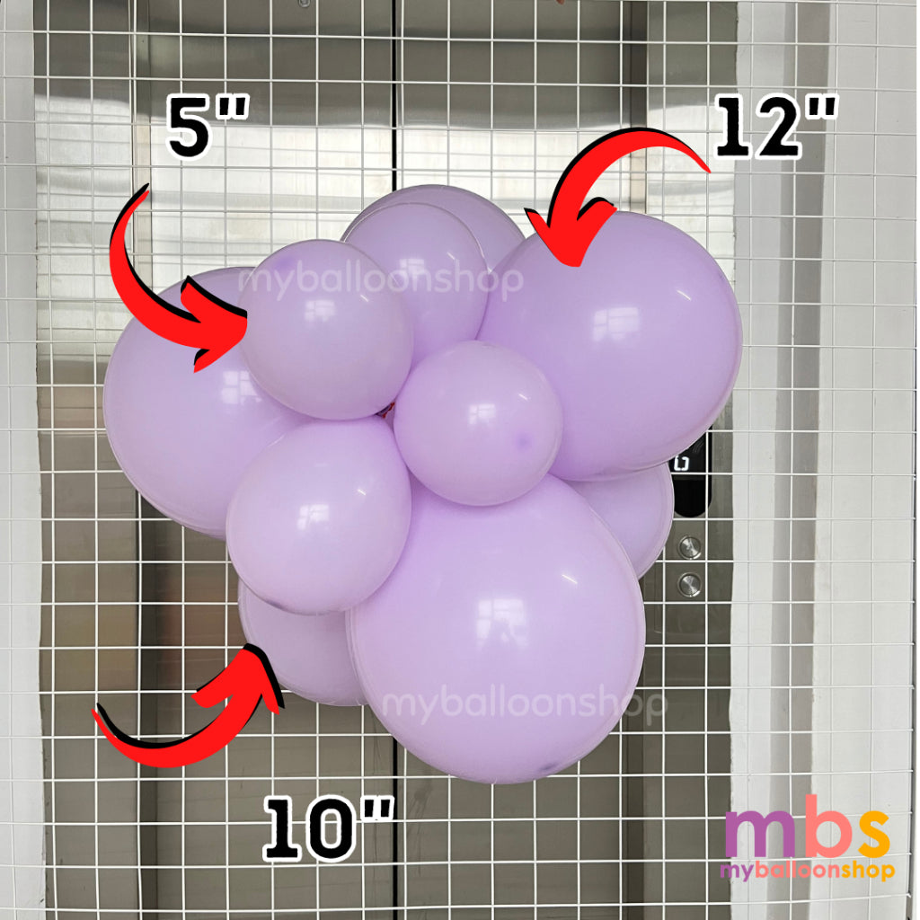 [10 pcs] - 12 inch SKYTEX Balloons