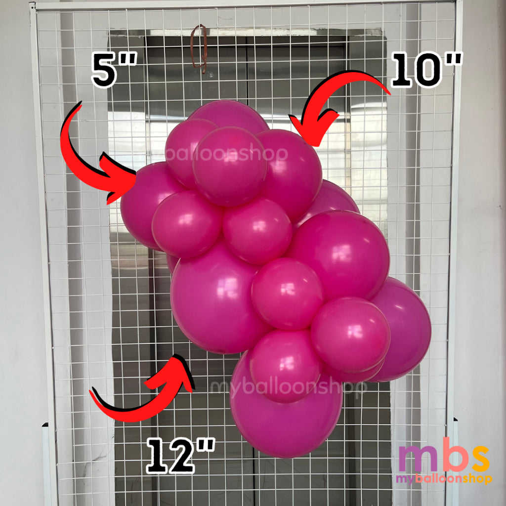[50 pcs] - 5 inch SKYTEX Balloons