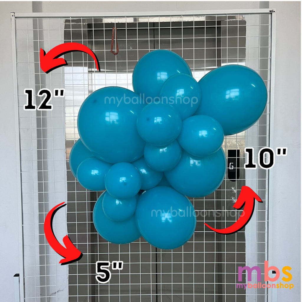 [10 pcs] - 12 inch SKYTEX Balloons