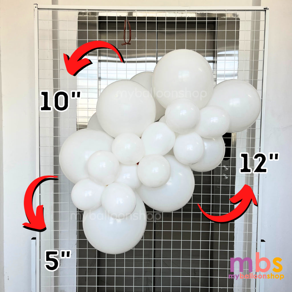 [50 pcs] - 5 inch SKYTEX Balloons