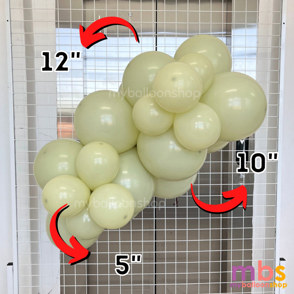 【10 PCS】- 5 inch SKYTEX