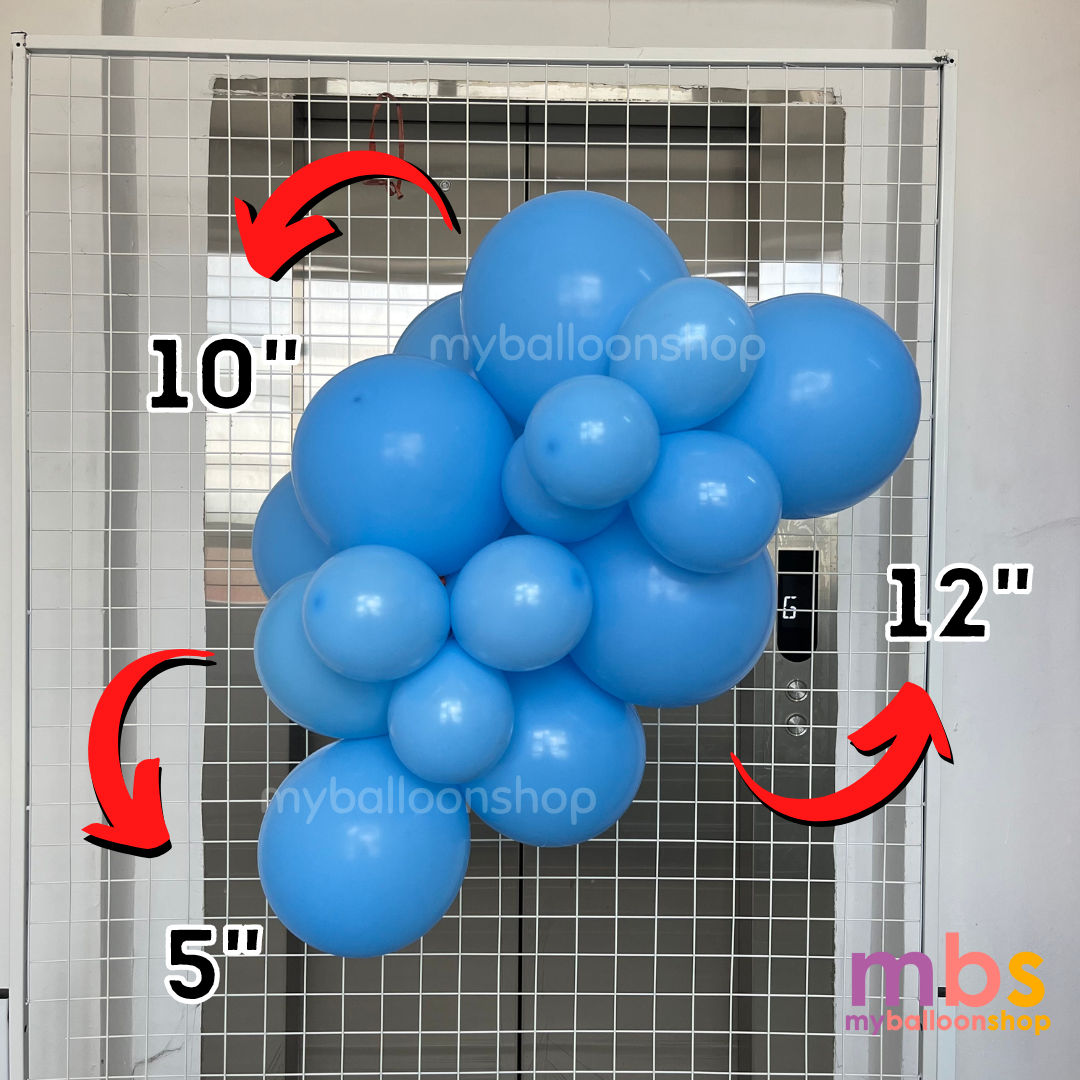 [100 pcs] - 12 inch SKYTEX Balloons