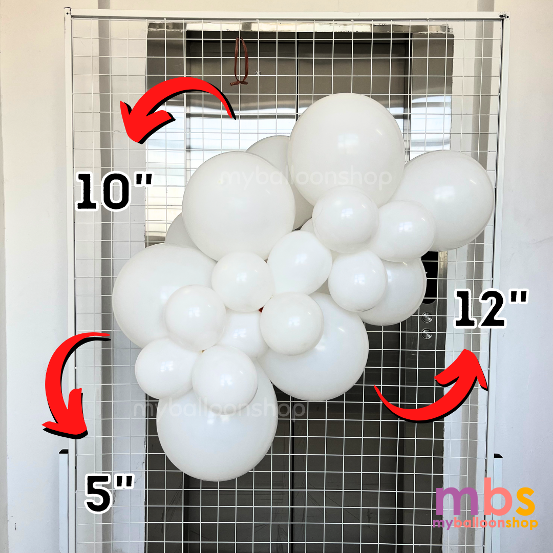 [100 pcs] - 12 inch SKYTEX Balloons