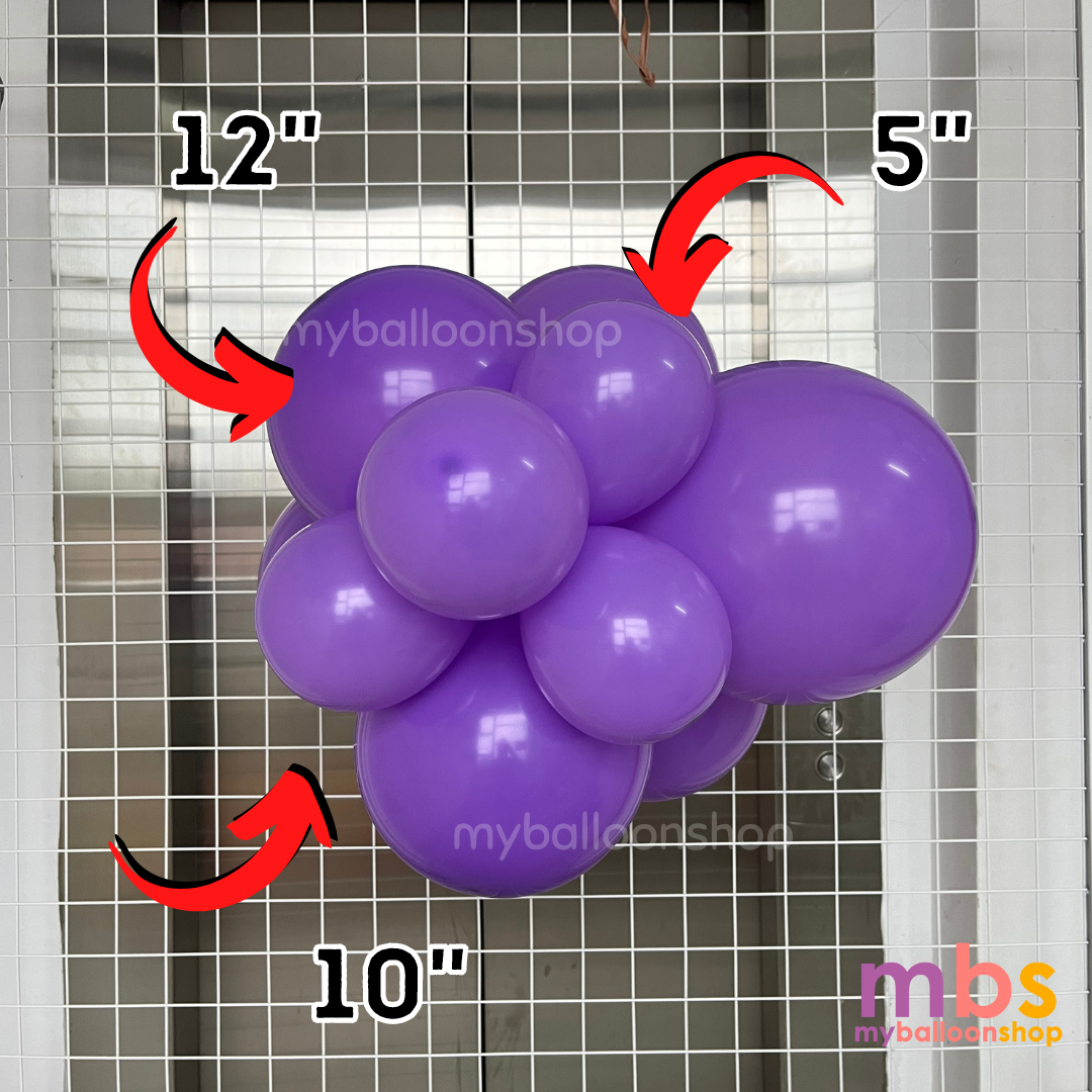 [50 pcs] - 12 inch SKYTEX Balloons